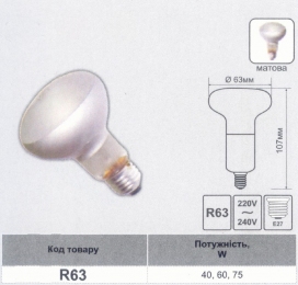 Лампа Lemanso R-63 60W матова 558073
